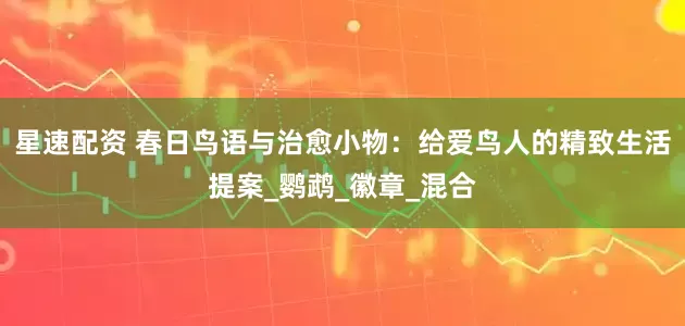 星速配资 春日鸟语与治愈小物：给爱鸟人的精致生活提案_鹦鹉_徽章_混合