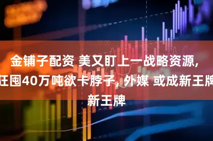金铺子配资 美又盯上一战略资源, 狂囤40万吨欲卡脖子, 外媒 或成新王牌